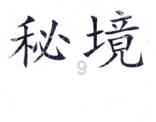 疯狂的小偷
