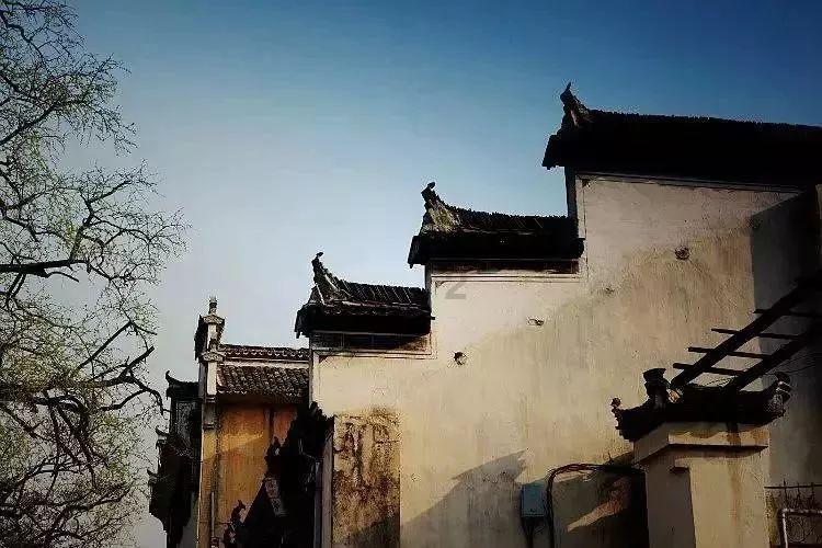 逃离倒影森林